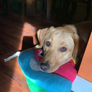 Meet your Posher, Heather